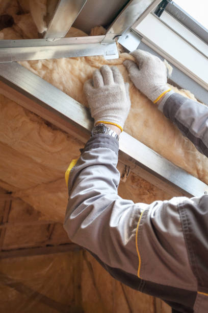 Best Insulation Maintenance and Repair in Roy, UT